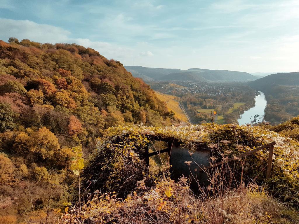 Haus Sonnenschein Lägenhet Wiltingen Exteriör bild
