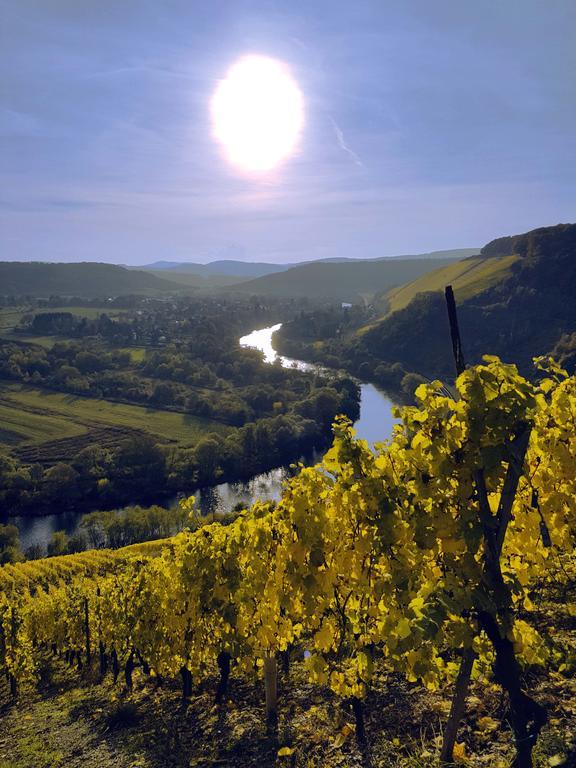 Haus Sonnenschein Lägenhet Wiltingen Exteriör bild