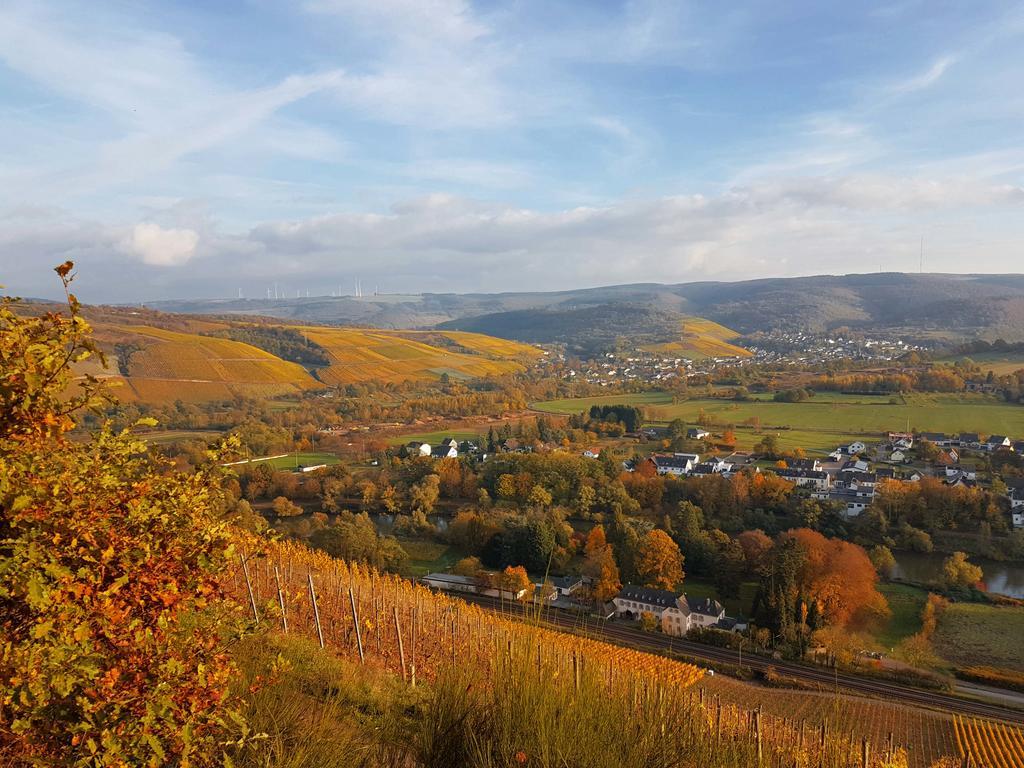 Haus Sonnenschein Lägenhet Wiltingen Exteriör bild